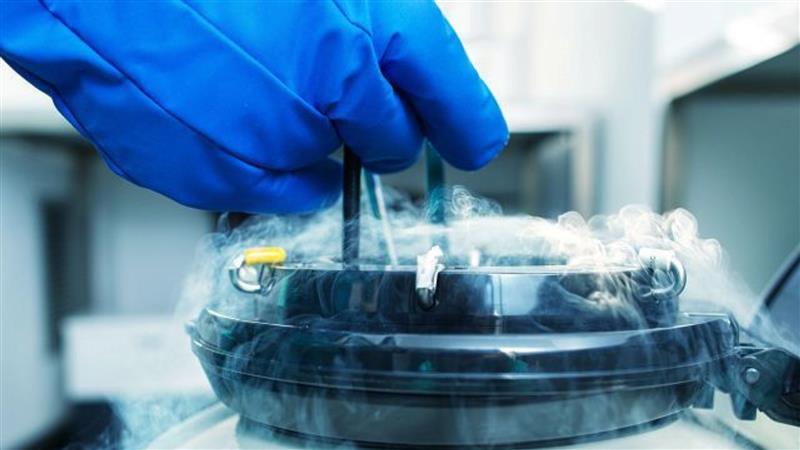Streamlining Cryo Renewal & Management in IVF Clinics: A Complete Guide to Digital Transformation