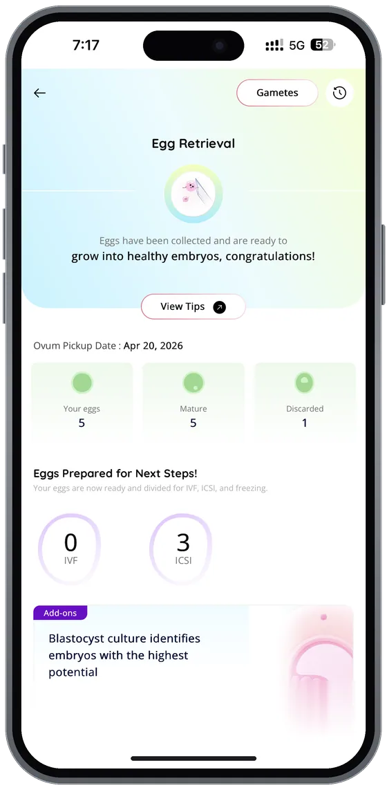 MedX documents and reports view showing lab results, prescriptions, and treatment paperwork in one place.