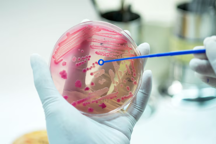 Why IVF Labs Need More Than Just a Spreadsheet